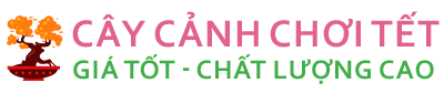 logoccct